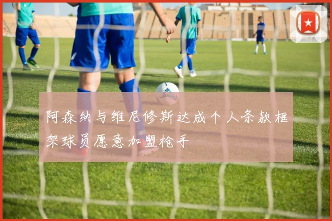 阿森纳与维尼修斯达成个人条款框架球员愿意加盟枪手